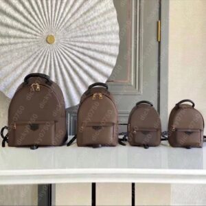 Designer Backpack Women School Bags corssbody bags large men backpack for laptop luxury back pack mini spring backpacks sac a dos luxurious bags dicky0750 handbags