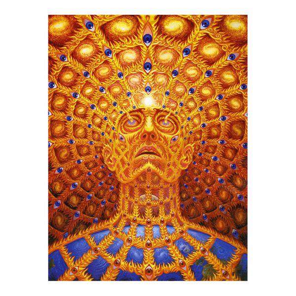 Trippy Alex Grey Painting Poster Print Home Decor Framed Or Unframed Photopaper Material