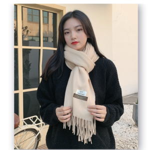 Koreanische Version des nachgemachten Kaschmirschals 2022 neuer koreanischer Normallackschal Herbst- und Winterquastenschal
