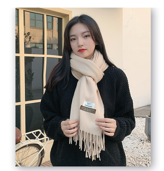 Koreanische Version des nachgemachten Kaschmirschals 2022 neuer koreanischer Normallackschal Herbst- und Winterquastenschal