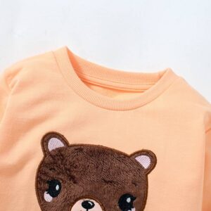 Girls’ long sleeve sweatshirt, children’s cartoon pullover sweatshirt, European and American autumn cute cotton top