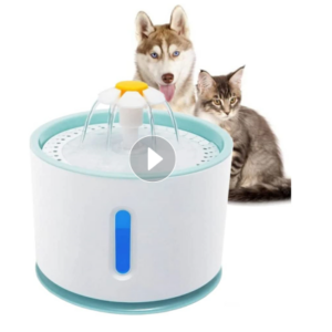 Filtered Pet Fountain: Promotes Healthy Hydration, Rejecting Hard Water