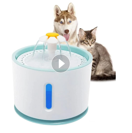 Filtered Pet Fountain: Promotes Healthy Hydration, Rejecting Hard Water