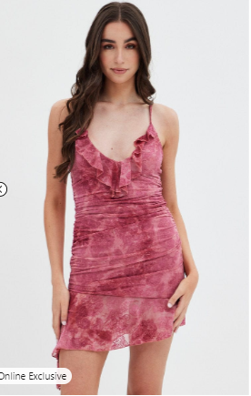 Pink Paisley Mesh Mini Dress V Ruffle Neck Burnt Out Paisley