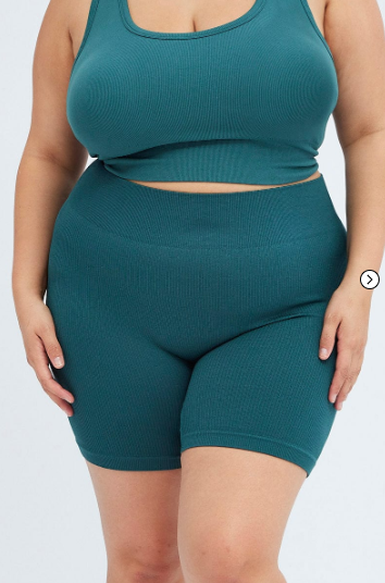 Blue Bike Shorts Seamless Activewear