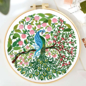 1pc Hand Embroidery Kit: Modern Peacock Pattern for Home.