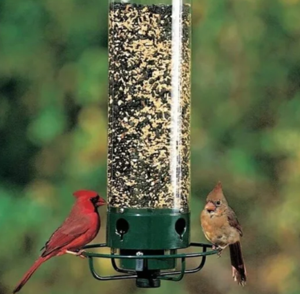 100% Squirrel-Proof Bird Feeder