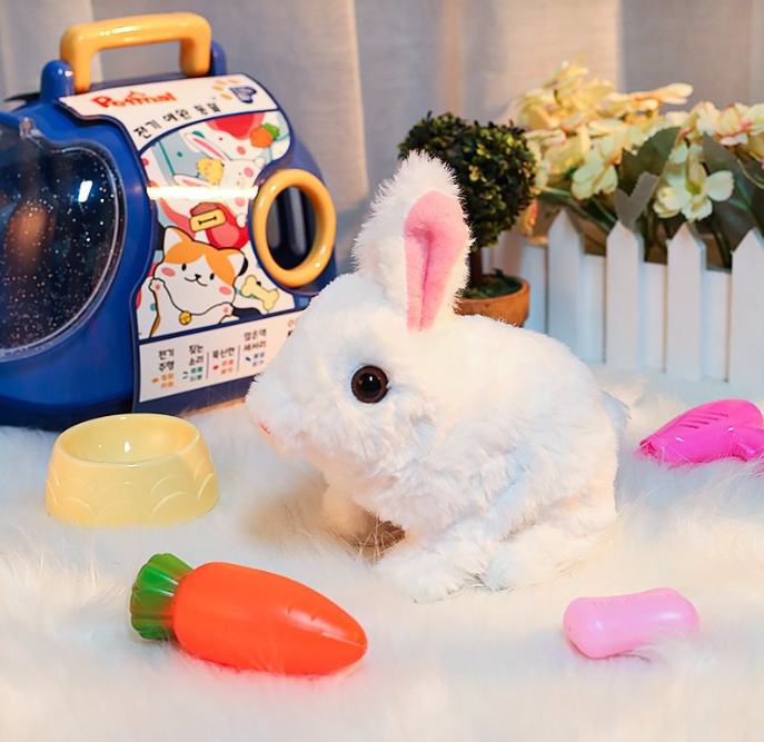 Bunny Toys Educational Interactive Toys Bunnies Can Walk and Talk