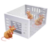 Automatic Continuous Cycle Mouse Trap