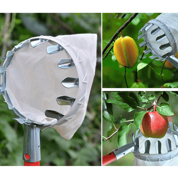 (LAST DAY SALE 50% OFF) Fruit Picker Head Basket (Diameter 16CM)