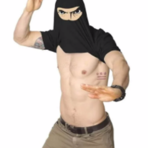 NINJA DISGUISE T-SHIRT