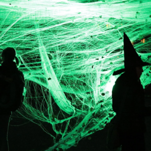 Luminous Spider Web Cobweb Halloween Decoration