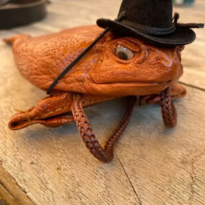 Funny Sugar Cane Toad full-body purse, Women Cute PU Crossbody Bag Small Shoulder Purse festival party animal wallet For Girls