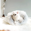 Soft plush Washable Luxury cat bed faux fur luxury cat cute blanket bed