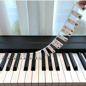 Removable Piano Keyboard Note Labels