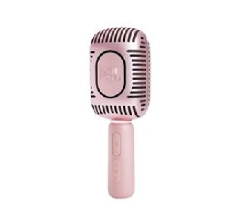 Karaoke Microphone 650
