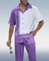 Short Sleeve Walking Suit with Purple Panel Print