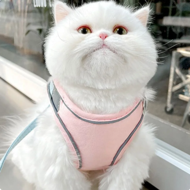 Luminous Cat Vest Harness and Leash Set