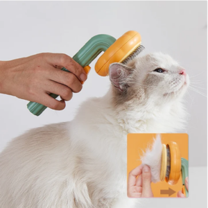 Pet Pumpkin Brush