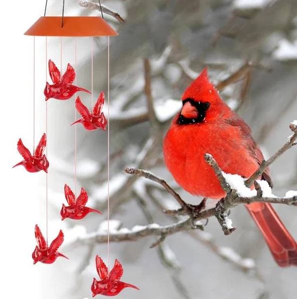 2024 New Year Hot Sale-49% OFF - Solar Cardinal Wind Chime Light