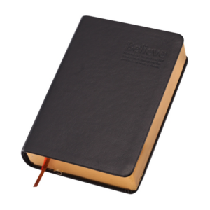 A5 stationery diary notebook notepad thick gold edge book