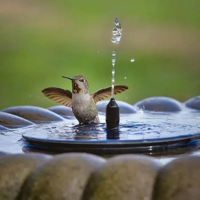 2024 New Year Hot Sale)Solar Powered Water Fountain