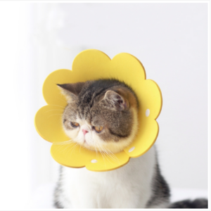 EVA sponge anti-lick neuter collar for pets