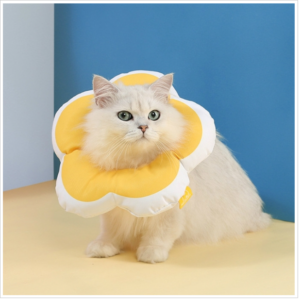 Cute flower shape pet licking collar