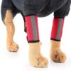 Pet Knee Protector Dog Surgery Injury Protective Cover, (Red Reflection)