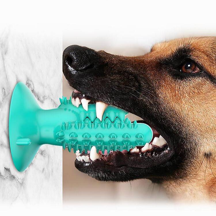 Rubber Molar Stick Toothbrush for Dogs