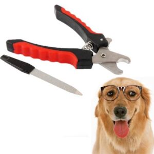 Professional Nail Clipper and File Set for Pet