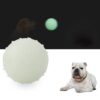TPR Bite Resistant Luminous Bouncy Ball Pet Toys