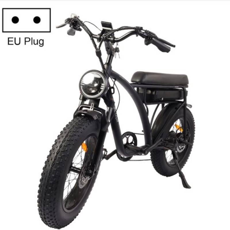 BEZIOR XF001 1000W 48V 12.5AH retro electric bicycle with LCD digital display & 20-inch tires, European regulations (elegant black)