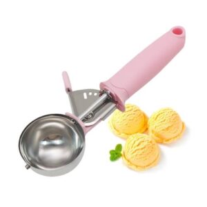 Stainless Steel Spring Ice Cream Scoop Fruit Scooper(Pink)