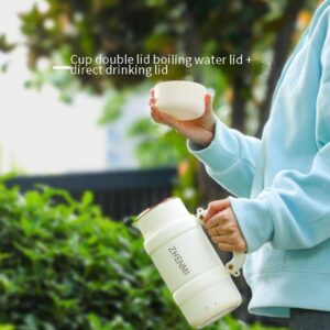 Youpin Zhenmi travel electric cup 600ml