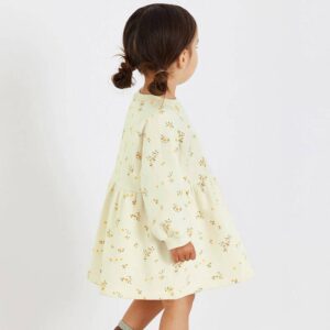 Girls’ dress, pure cotton children’s long sleeve sweatshirt skirt, European and American autumn children’s skirt, princess dress