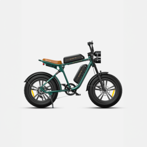 ENGWE M20 13Ah 750W 20 4.0 Fat Tire Electric Bike 60-75km Mileage Range E Bike for Mountain Snowfield Road – Black