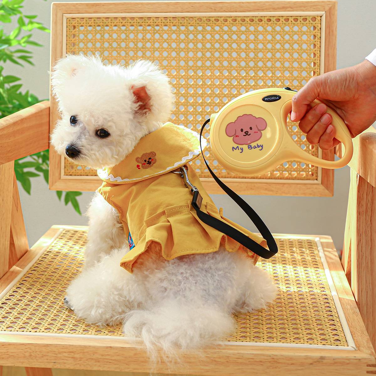 Pet dog cat clothes spring and summer princess dresses