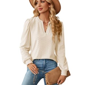 2023 European and American cross-border foreign trade autumn and winter new solid color V-neck jacquard long-sleeved loose T-shirt tops for women