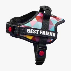 Dog chest strap big dog collar leash undershirt clothes with night reverse Light Pet Products