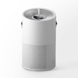 Air Purifier with True Hepa Filter,Portable Odor Allergies Eliminator for Home Smokers Smoke Dust Pets Desktop Air Cleaner