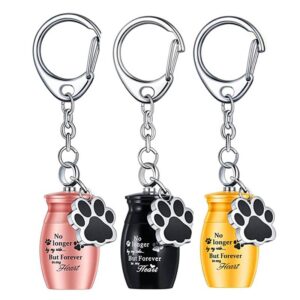 Alloy pet urn keychain
