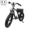 BEZIOR XF001 1000W 48V 12.5AH retro electric bicycle with LCD digital display & 20-inch tires, US standard (elegant black)