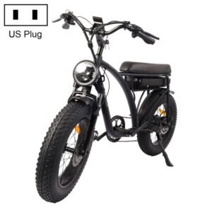 BEZIOR XF001 1000W 48V 12.5AH retro electric bicycle with LCD digital display & 20-inch tires, US standard (elegant black)