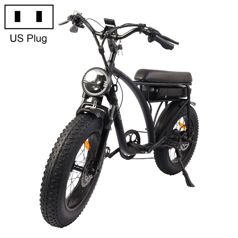 BEZIOR XF001 1000W 48V 12.5AH retro electric bicycle with LCD digital display & 20-inch tires, US standard (elegant black)