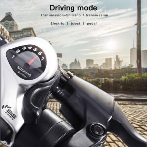 BEZIOR XF001 1000W 48V 12.5AH retro electric bicycle with LCD digital display & 20-inch tires, European regulations (military green)