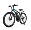 DUOTTS C29 Electric Bike