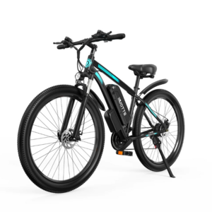 DUOTTS C29 Electric Bike