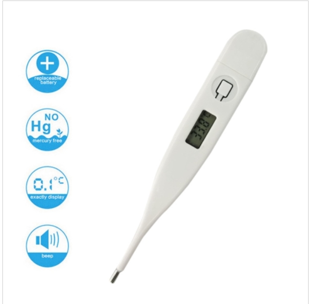 Digital LCD Body Thermometer