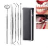5-piece steel-edged leather case, stainless steel dental tools, tartar protection tools, dental tool set